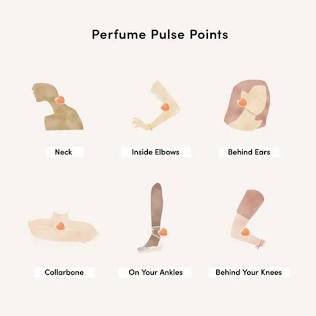 Essential Curation and Longevity Practices
